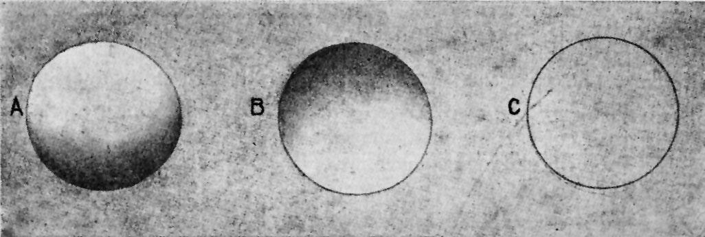 Diagram from Concealing Color in the Animal Kingdom illustrating the concept of countershading