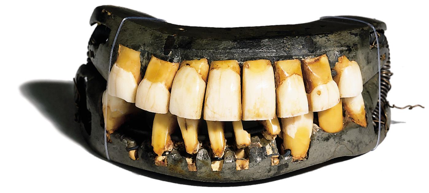 Main image from Please Do Not Photograph the General&rsquo;s Dentures